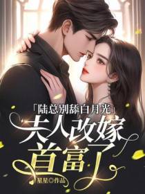 陆总别舔白月光,夫人改嫁首富了