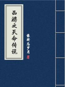 西游之天命传说
