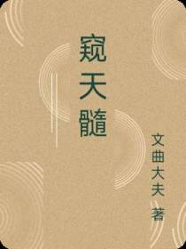 窥天髓