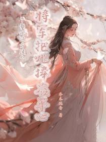 丫鬟她过分迷人将军把她捧在手心