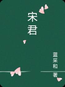 宋君