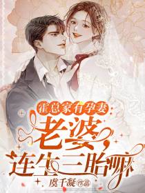 霍总家有孕妻：老婆,连生三胎嘛