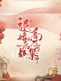 退婚后她们都高不可攀了