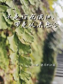 不是伤疤依旧,而是从未愈合