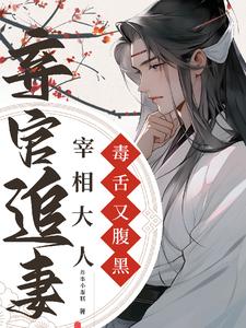毒舌又腹黑,宰相大人弃官追妻