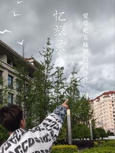 忆旅录