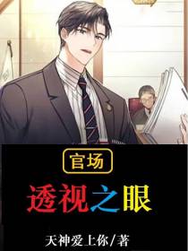 官场：透视之眼