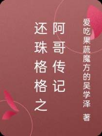 还珠格格之阿哥传记