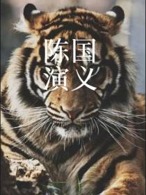 陈国演义