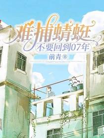 难捕蜻蜓：不要回到07年
