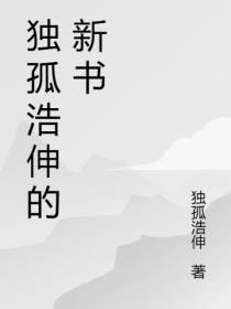 独孤浩伸的新书