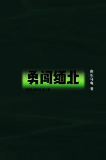 勇闯缅北