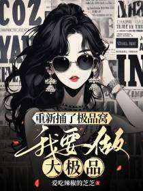 重生捅了极品窝,我要做大极品