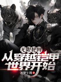 无限轮回：从穿越铠甲世界开始！