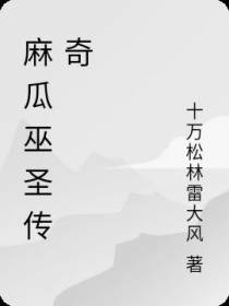 麻瓜巫圣传奇