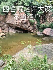 四合院之许大茂不当绝户