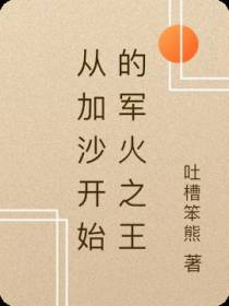 从加沙开始的军火之王