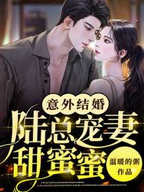 意外结婚？陆总宠妻甜蜜蜜
