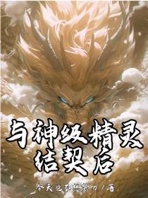 与神级精灵结契后