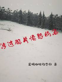 涉过那片愤怒的海