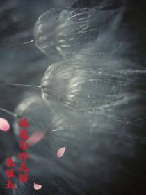 被遗忘的花瓣