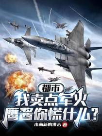 都市：我卖点军火,鹰酱你慌什么