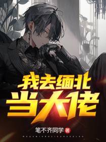 我去缅北当大佬
