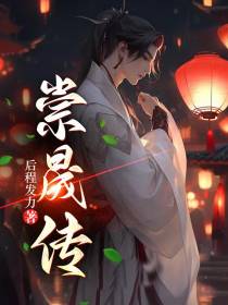 崇晟传