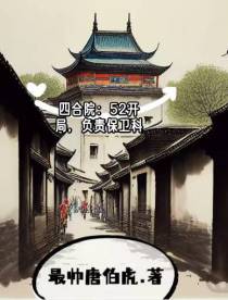 四合院：52开局,负责保卫科