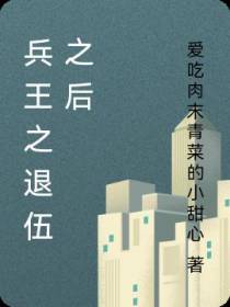 兵王之退伍之后