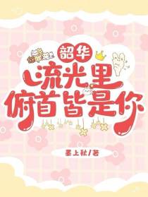 韶华流光里,俯首皆是你