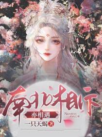 南北相斥亦相遇