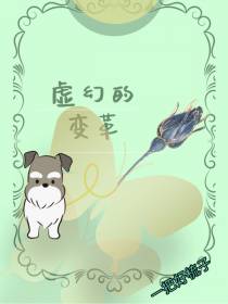 虚幻的变革