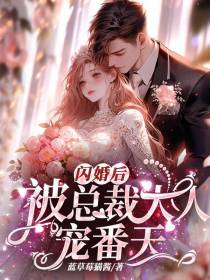 闪婚后,被总裁大人宠番天