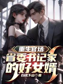 重生官场：省委书记家的好女婿