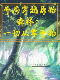 开局穿越原始森林：一切从零开始