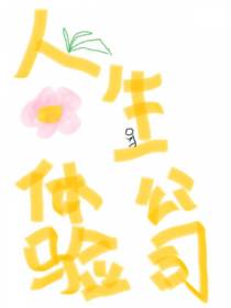 人生体验公司