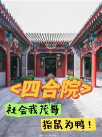 四合院：社会我茂哥,指鼠为鸭
