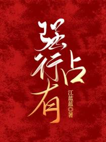 强行占有