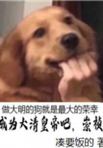 成为大清皇帝吧,崇祯！