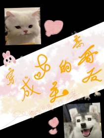 穿成女主的亲哥后
