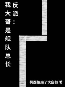 反派：我大哥是舰队总长