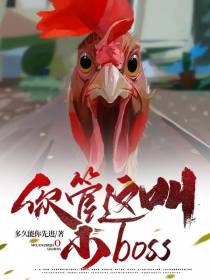 你管这叫小boss