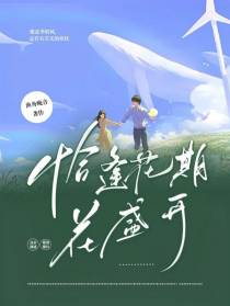 恰逢花期花盛开