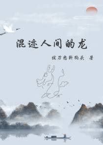 混迹人间的龙