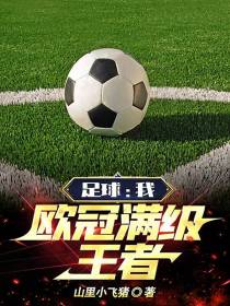 足球：我,欧冠满级王者