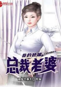 我的娇媚总裁老婆