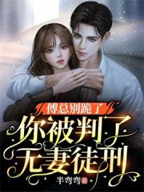 傅总别跪了,你被判了无妻徒刑