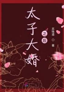 太子大婚之后