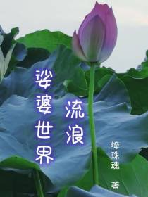 娑婆世界流浪